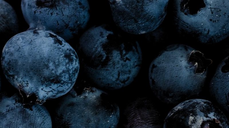 Fresh Blueberries Keep The Visit Simple