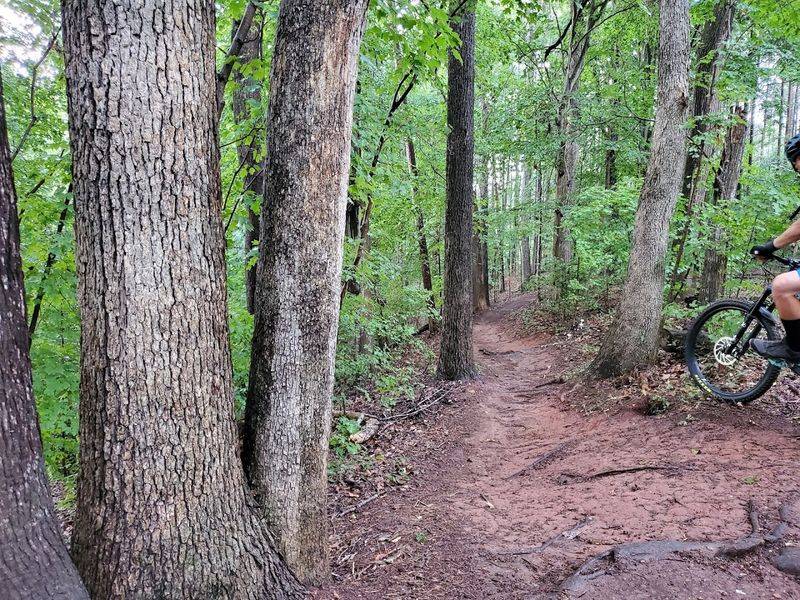 Mountain Biking Trails That Rival The Best In The Region