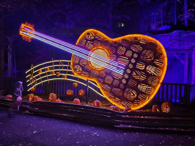 Live Music That Fills Every Corner