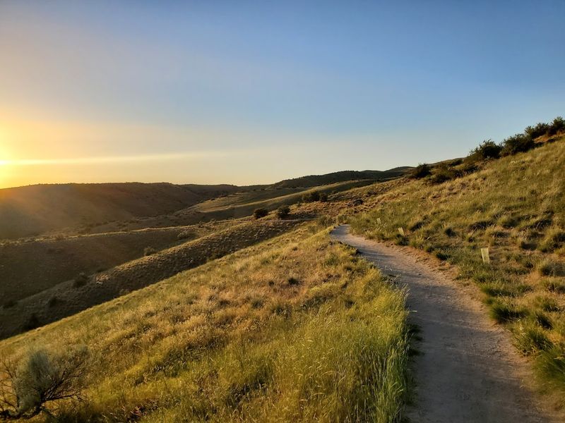 Wildflower-Friendly Loops On Boise's Northwest Edge