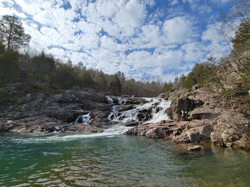 Wild Horses And Elk Across The Ozark Landscape