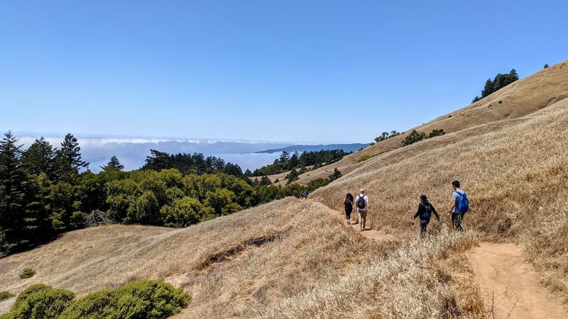 Dipsea Trail, Mill Valley to Stinson Beach
