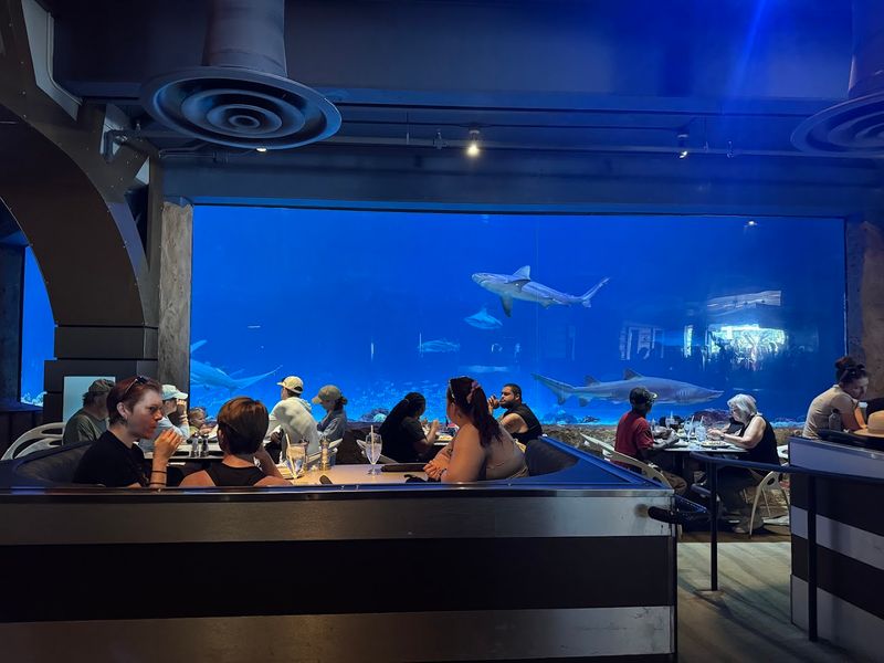 Sharks Underwater Grill