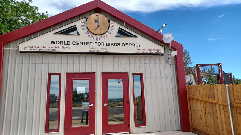 Conservation Work Led By The Peregrine Fund