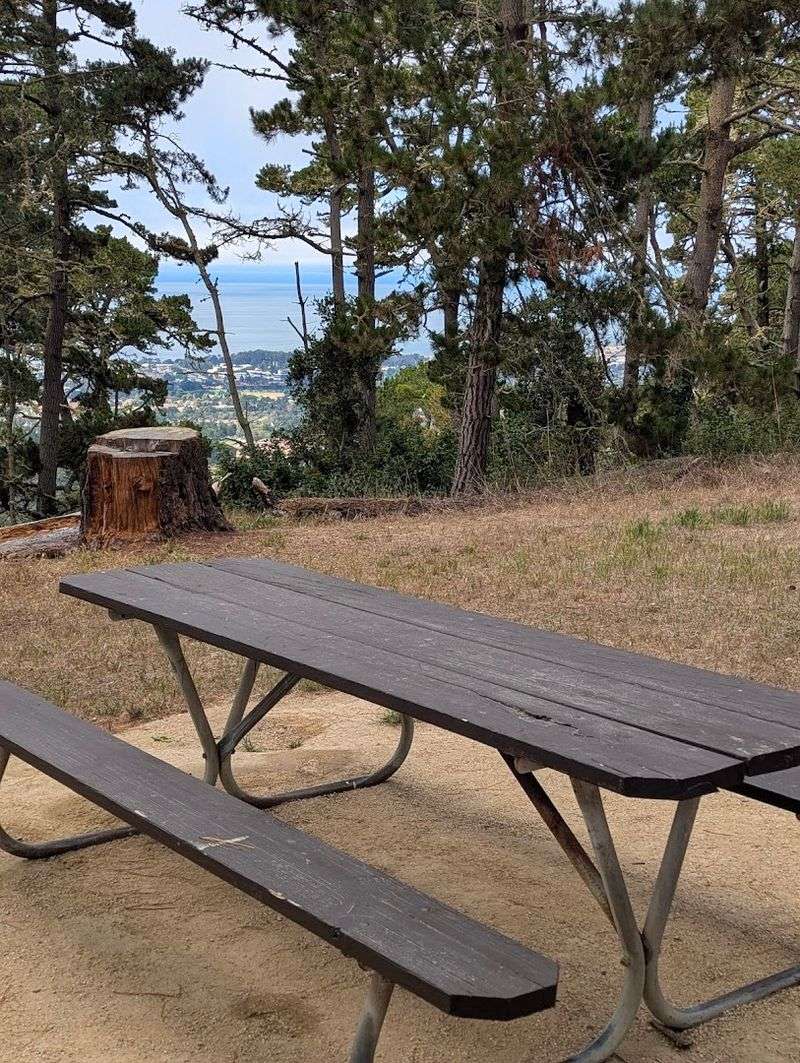 Jacks Peak Park, Monterey