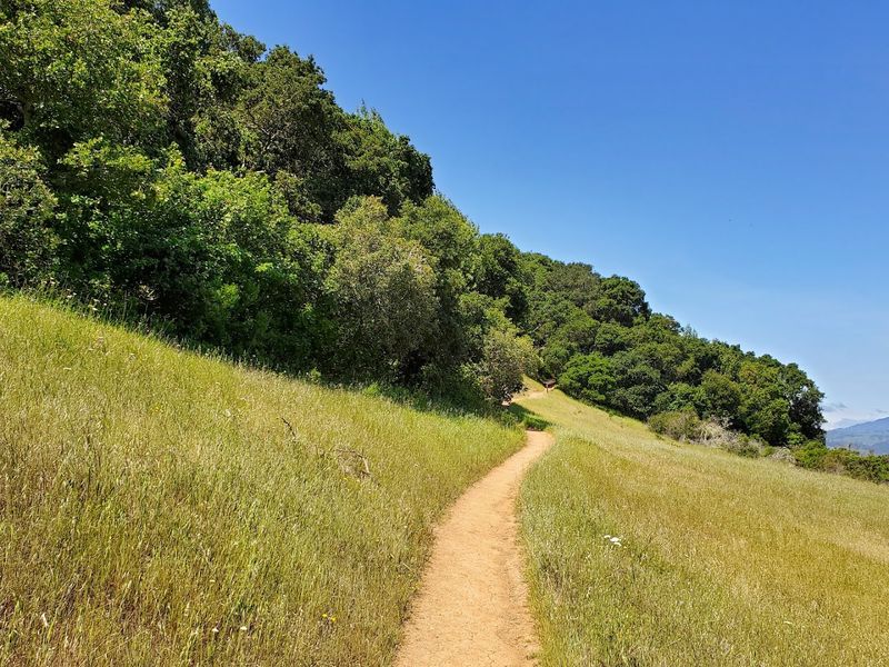 Edgewood Park & Natural Preserve, Redwood City