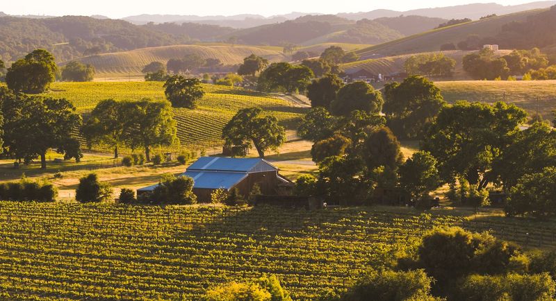 Paso Robles