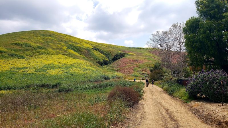 Chino Hills State Park Trails, Chino Hills