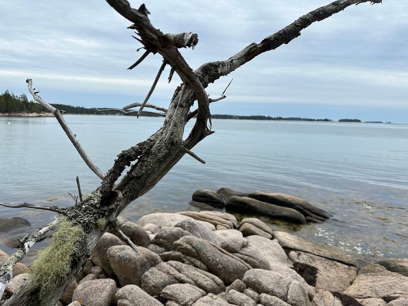 Barred Island Preserve Beach