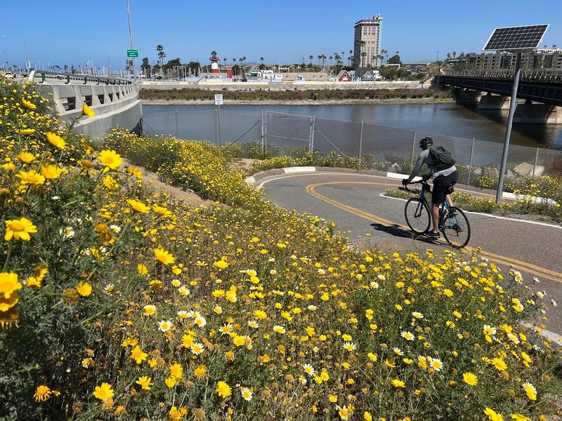 San Luis Rey River Trail, Oceanside