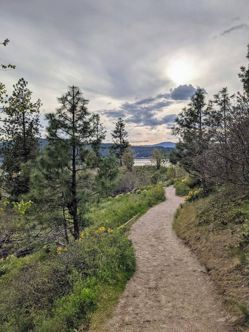Tubbs Hill Loop