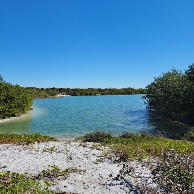 Diverse Ecosystems Beyond The Beach