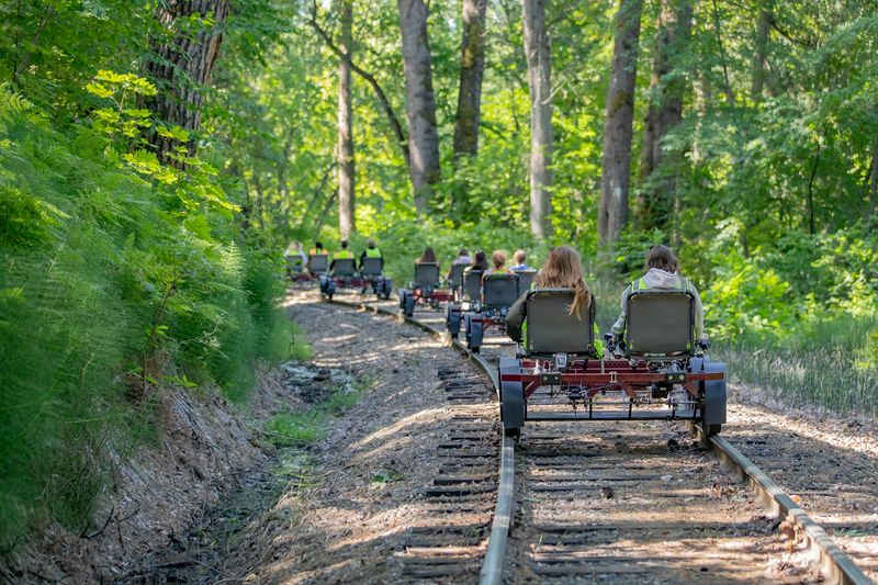 A Ride Built For All Ages And Group Sizes