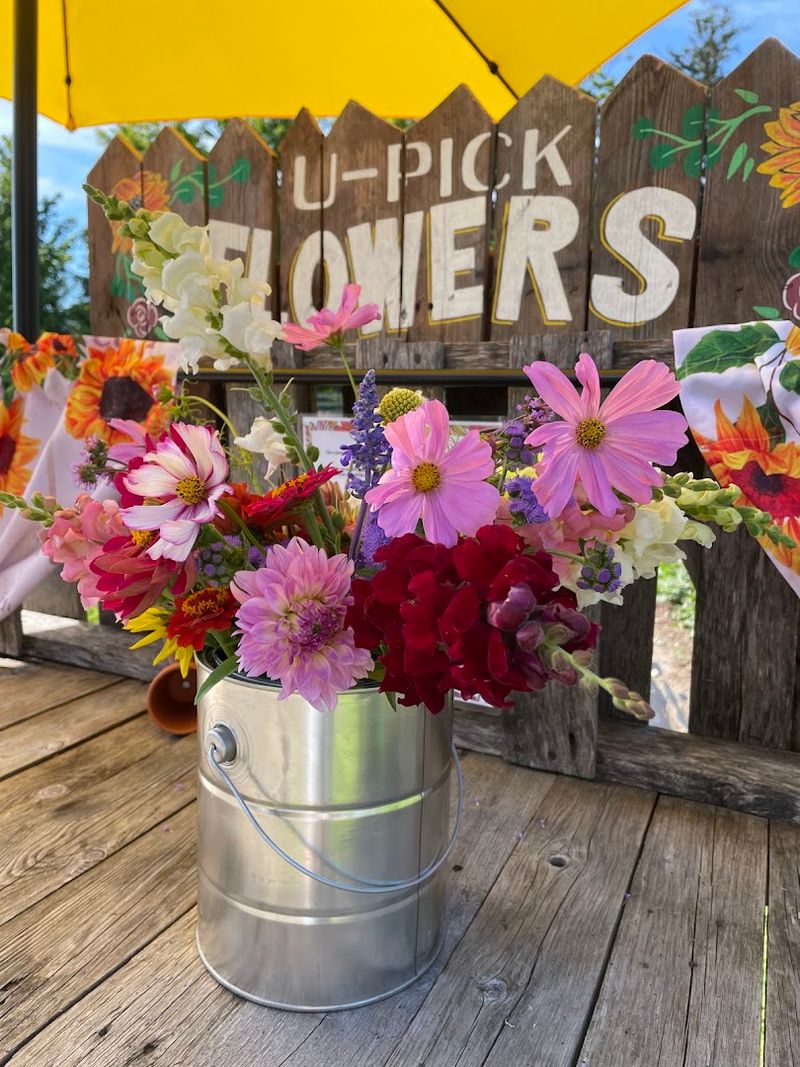 This Connecticut Wildflower Farm Looks Like A Dreamy Meadow You Can Walk Through - Decor Hint The Joy Of Cutting Your Own Bouquet