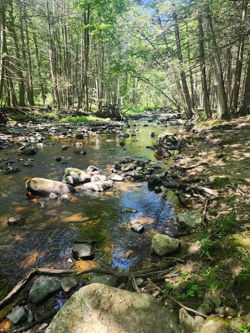 Why This Park Is A Hidden Gem For Nature Lovers