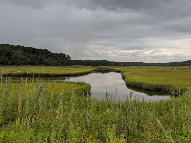 These 8 Connecticut Birdwatching Spots Feel Like Hidden Front-Row Seats To Nature - Decor Hint Barn Island Wildlife Management Area, Stonington