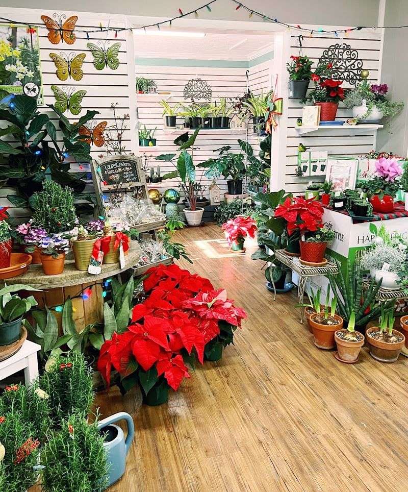 16 Garden Shops In Kentucky That Are Worth A Spring Road Trip - Decor Hint Laurel Gardens