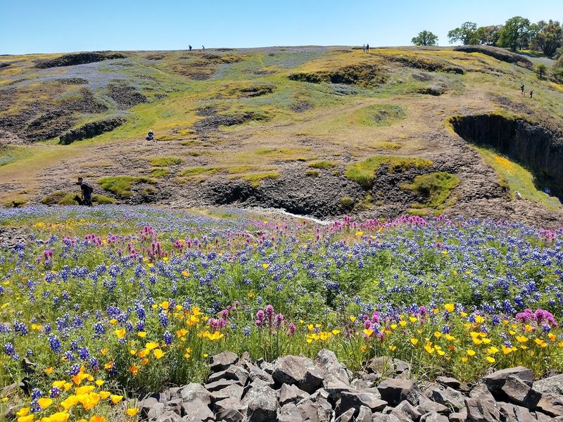 North Table Mountain Ecological Reserve, Oroville