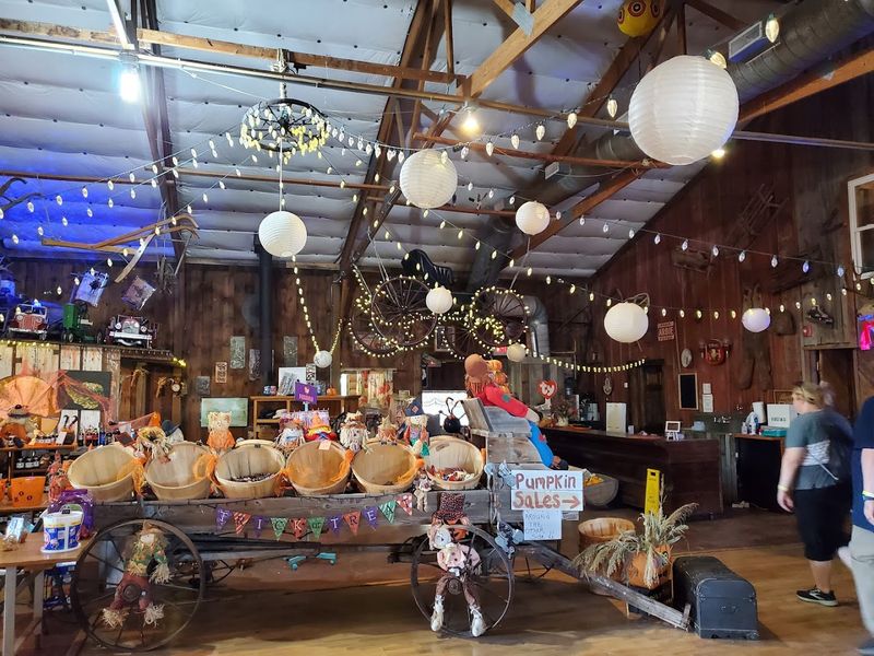 Bellevue Berry & Pumpkin Ranch, Papillion, Nebraska