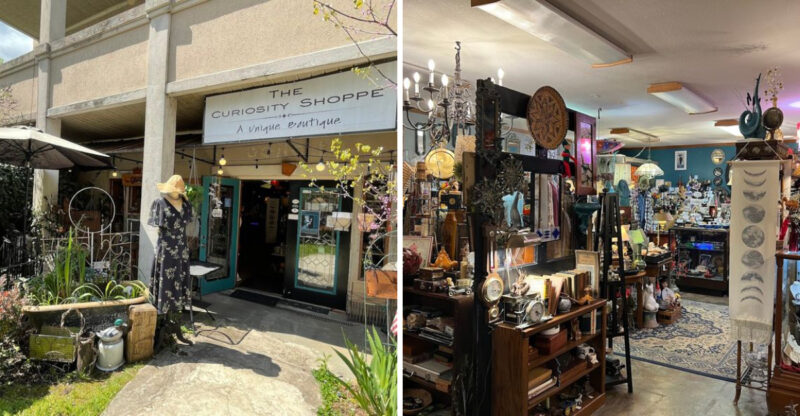 Shoppers Keep Coming Back To This Eclectic North Carolina Shop And The Reason Is Impossible To Explain