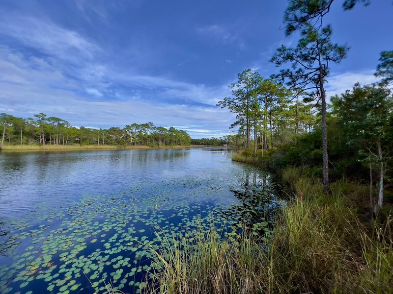 The Charming Florida Beach Town That Feels Beautifully Planned From Every Angle - Decor Hint Grayton Beach State Park Next Door