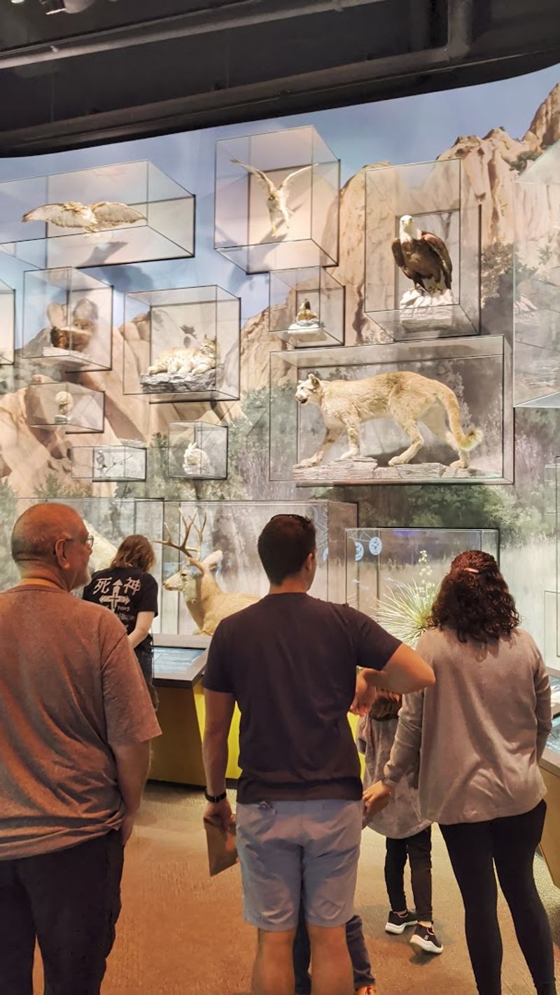 The Visitor And Nature Center