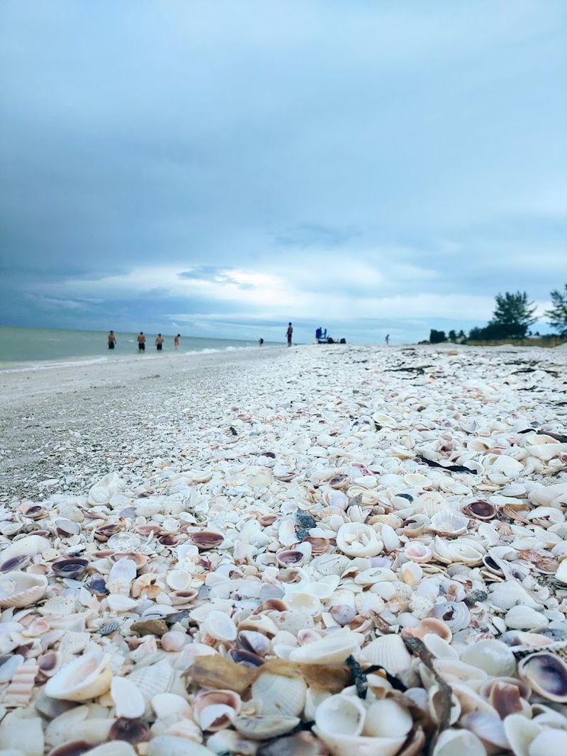 Sanibel Island Beach