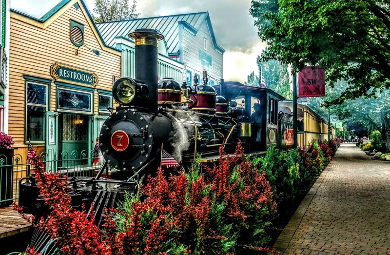 This Slow Train Ride In Idaho Might Be The Most Relaxing Way To See The State - Decor Hint A Relaxing Loop Through Athol's Backwoods Setting