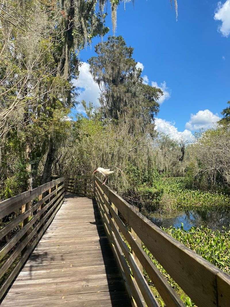 Lettuce Lake Conservation Park