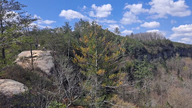Hundreds Of Miles Of Well-Marked Hiking Trails