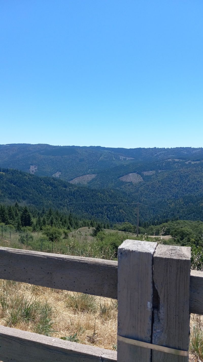 Trinity Scenic Byway, State Route 299