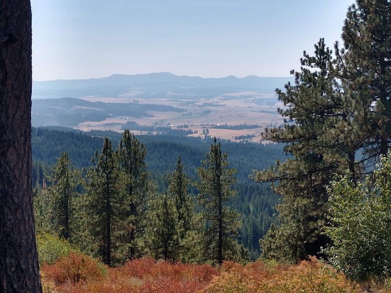 Palouse Views Make The Silence Feel Enormous