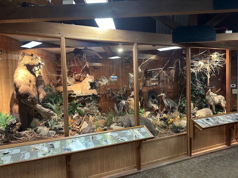 Humboldt Redwoods Visitor Center