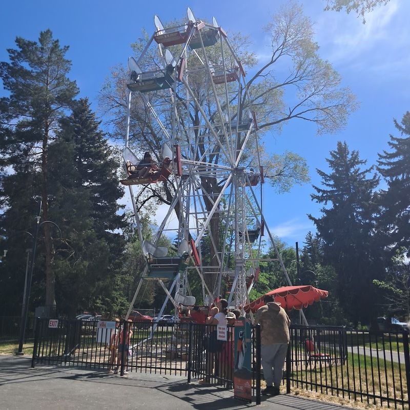 Zoo Day Energy Turns Into Carousel-And-Treats Nostalgia