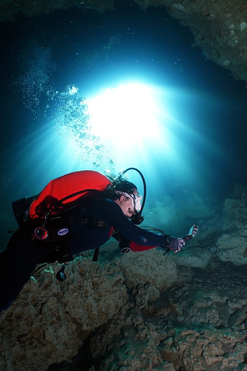 Florida Has A Natural Pool So Ancient And Otherworldly That Swimming In It Feels Like Diving Into Another Era - Decor Hint Scuba Diving Opportunities