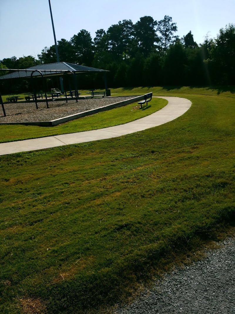 The Walking Trail For A Peaceful Outdoor Reset