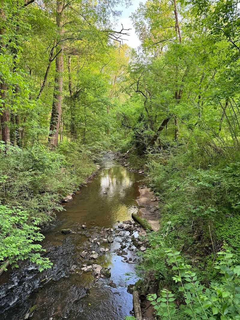 Birdwatching Opportunities Are Plentiful Along The Creek