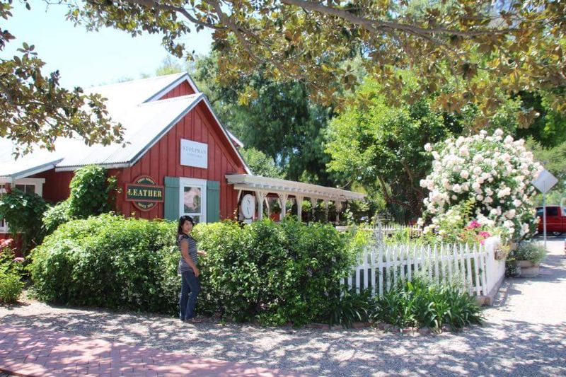 Los Olivos