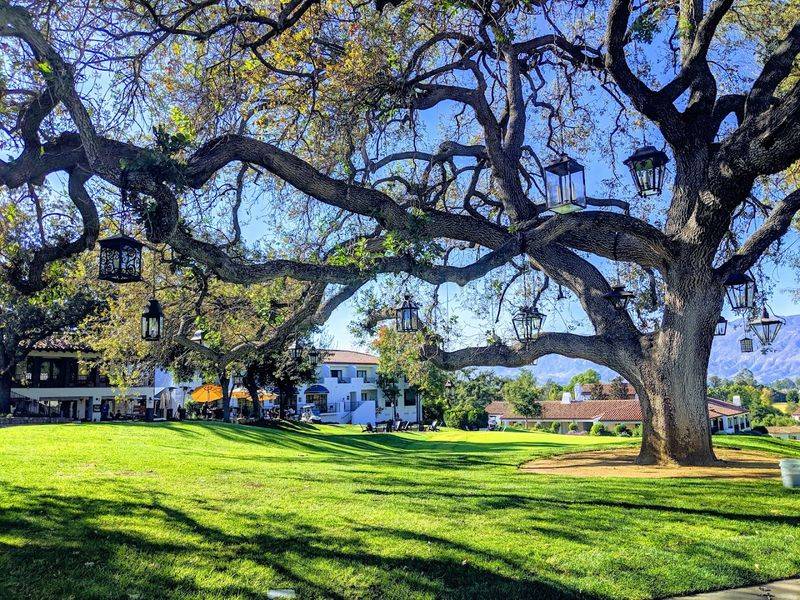Ojai