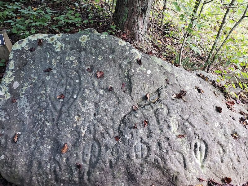 Trackrock Archaeological Area: Ancient Cherokee Carvings In The Mountains