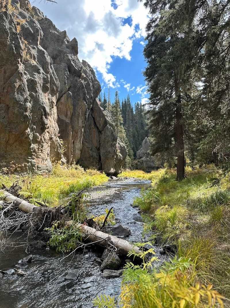 Jemez Mountain Trail 