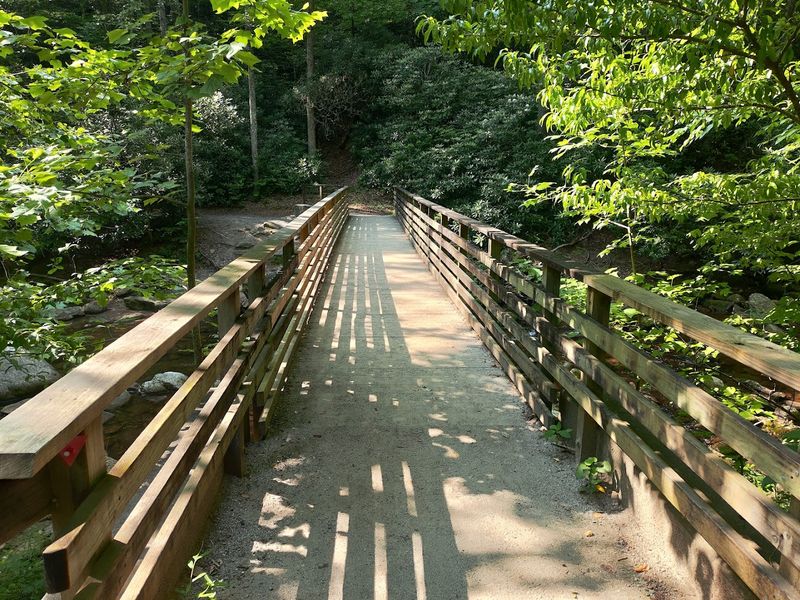 Trails Beyond the Waterfall
