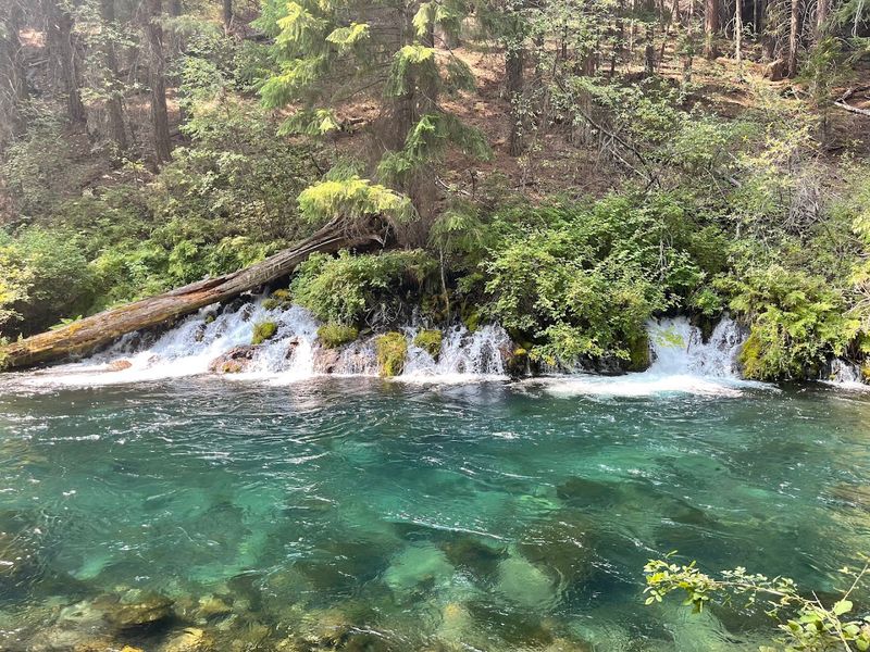 West Metolius River Trail