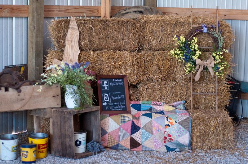 The Barn as a Venue for Dancing and Entertainment