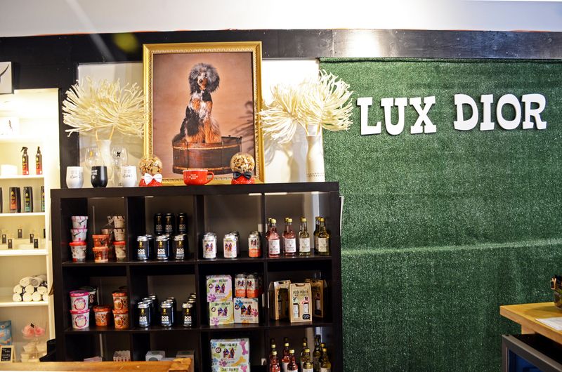 A Pet Boutique Stocked With Top-Quality Dog Products