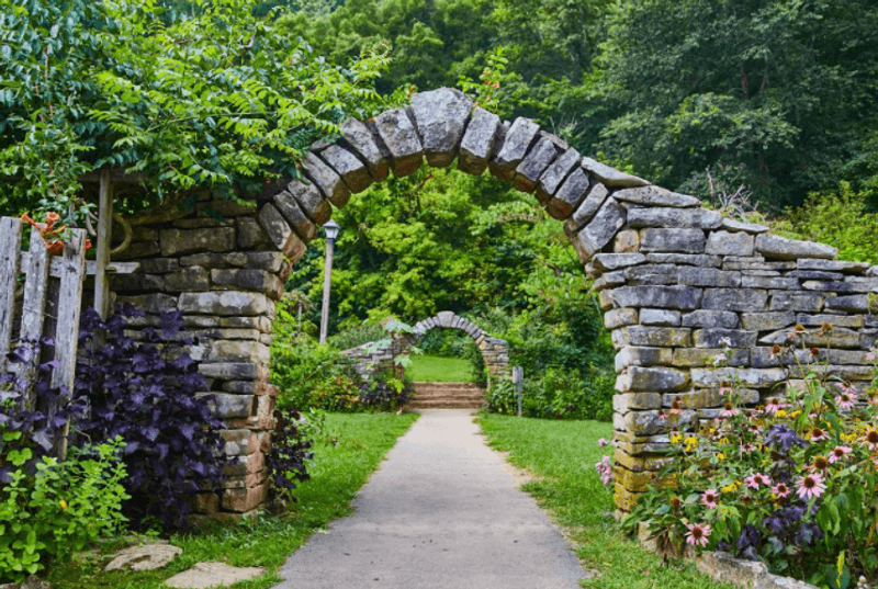 Hiking Trails With Views That Feel Earned