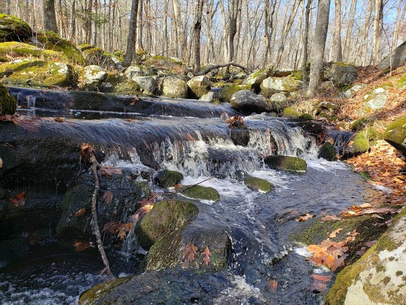 Discover Waterfalls, Ponds, And Quiet Streams