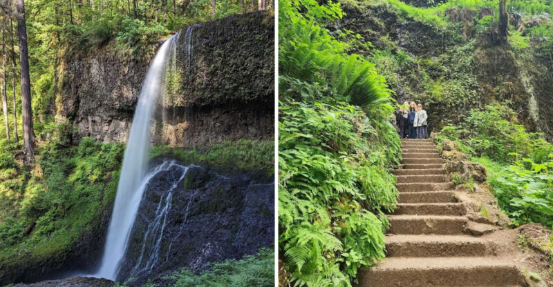 Spring Feels Magical Inside This Waterfall-Filled Oregon Park