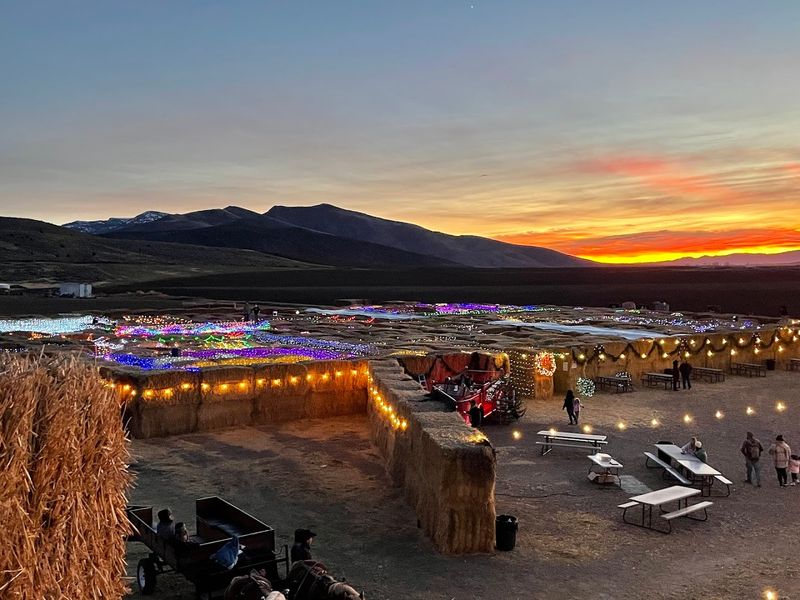 This Idaho Straw Maze Turns A Farm Day Into A Full-On Family Adventure - Decor Hint Family Photos Come Naturally Here