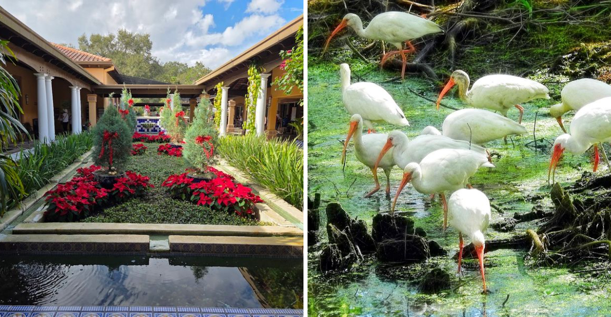 Spring Is The Perfect Time To Visit These 10 Stunning Places In Florida - Decor Hint